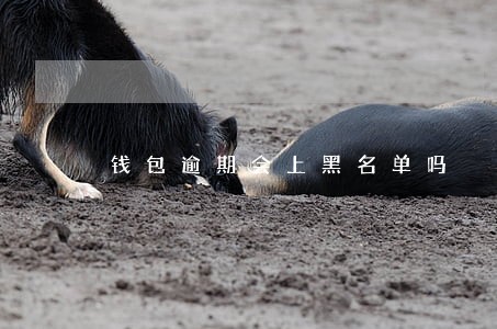 钱包逾期会上黑名单吗 钱包逾期会上黑名单吗