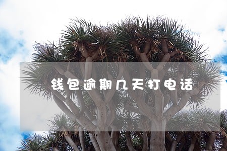 钱包逾期几天打电话 钱包逾期几天打电话