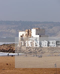 钱包逾期十天 钱包逾期十天