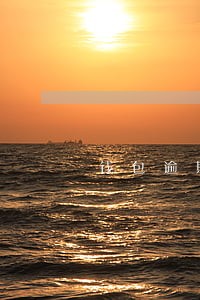 钱包逾期半小时怎么办 钱包逾期半小时怎么办