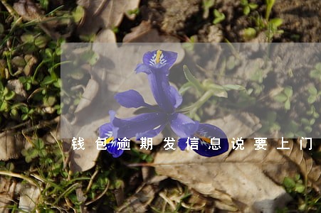 钱包逾期发信息说要上门 钱包逾期发信息说要上门