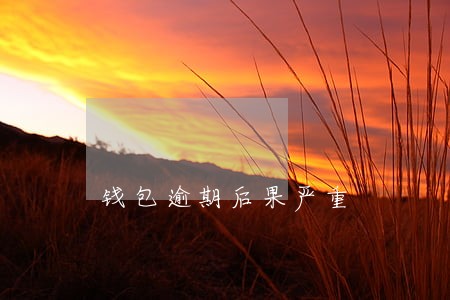 钱包逾期后果严重 钱包逾期后果严重
