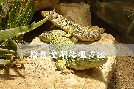 钱包逾期处理方法 钱包逾期处理方法