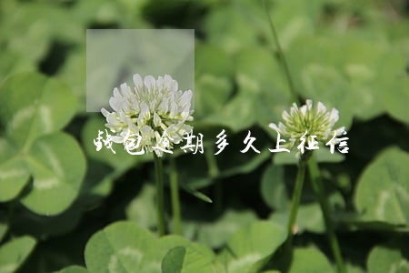 钱包逾期多久上征信