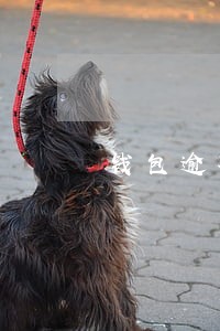 钱包逾期多久会消失 钱包逾期多久会消失
