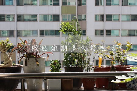 钱包逾期多久打电话 钱包逾期多久打电话