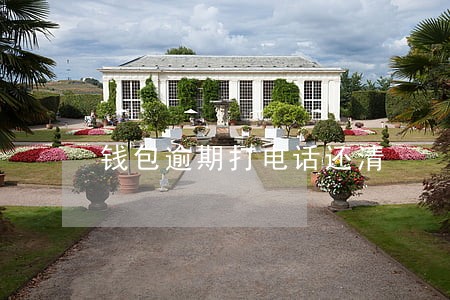 钱包逾期打电话还清 钱包逾期打电话还清