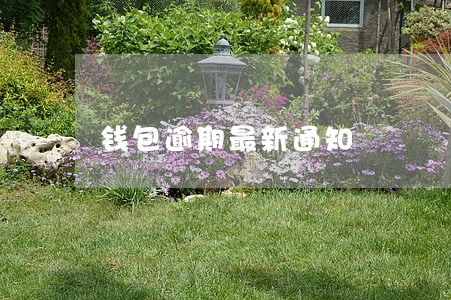 钱包逾期最新通知 钱包逾期最新通知