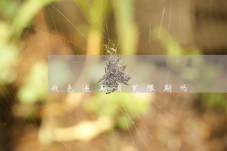 钱包逾期有宽限期吗 钱包逾期有宽限期吗