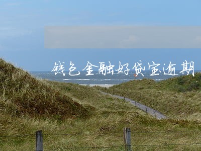 钱包金融好贷宝逾期 钱包金融好贷宝逾期