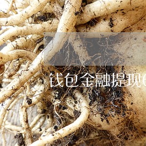 钱包金融提现6天没到账逾期啦 钱包金融提现6天没到账逾期啦