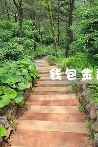 钱包金融逾期18个月 钱包金融逾期18个月