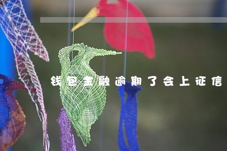 钱包金融逾期了会上征信吗 钱包金融逾期了会上征信吗