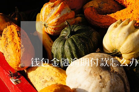 钱包金融逾期付款怎么办 钱包金融逾期付款怎么办