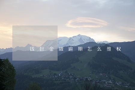 钱包金融逾期怎么维权 钱包金融逾期怎么维权