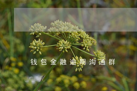 钱包金融逾期沟通群 钱包金融逾期沟通群