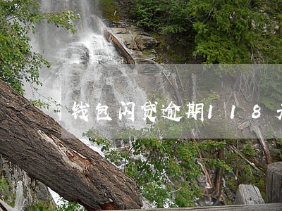 钱包闪贷逾期118天 钱包闪贷逾期118天