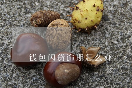 钱包闪贷逾期怎么办 钱包闪贷逾期怎么办