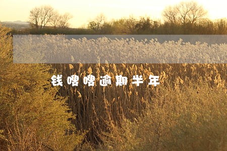 钱嗖嗖逾期半年 钱嗖嗖逾期半年