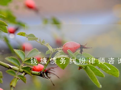 钱塘债务纠纷律师咨询 钱塘债务纠纷律师咨询