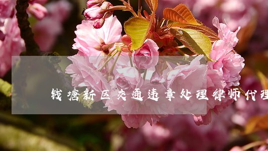 钱塘新区交通违章处理律师代理 钱塘新区交通违章处理律师代理