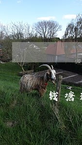 钱塘新区法院缓刑律师收费 钱塘新区法院缓刑律师收费