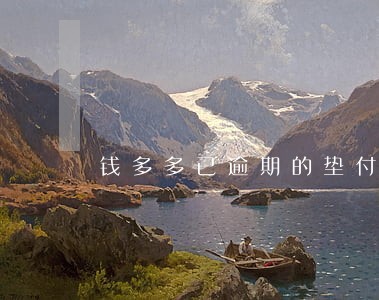 钱多多已逾期的垫付款 钱多多已逾期的垫付款