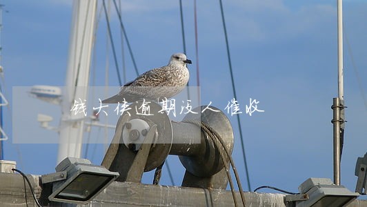 钱大侠逾期没人催收 钱大侠逾期没人催收