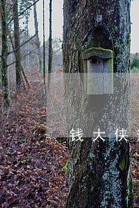 钱大侠逾期费用 钱大侠逾期费用