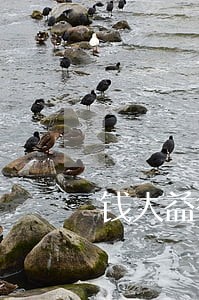 钱大益律师 钱大益律师