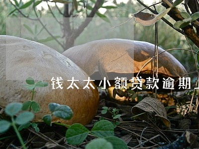 钱太太小额贷款逾期上征信吗 钱太太小额贷款逾期上征信吗
