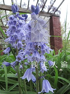钱夫人逾期1天会骚扰么 钱夫人逾期1天会骚扰么
