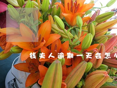 钱夫人逾期一天会怎么样 钱夫人逾期一天会怎么样