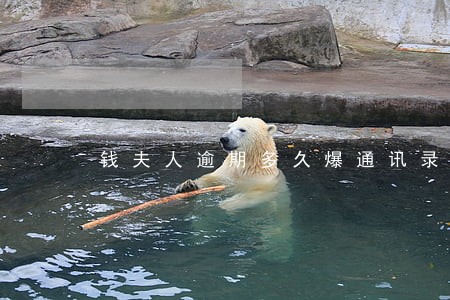 钱夫人逾期多久爆通讯录 钱夫人逾期多久爆通讯录