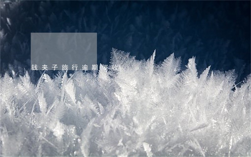 钱夹子旅行逾期催收 钱夹子旅行逾期催收