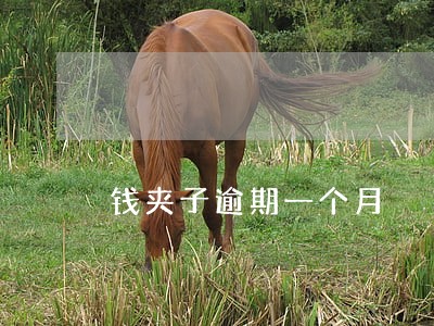钱夹子逾期一个月 钱夹子逾期一个月