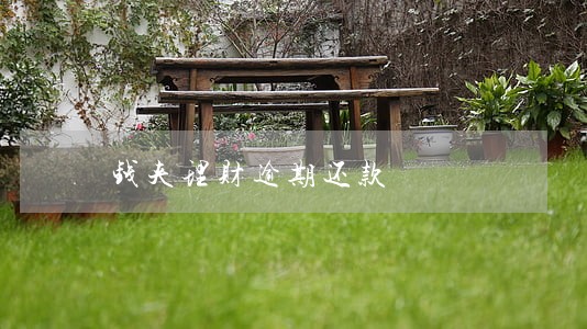 钱夹理财逾期还款 钱夹理财逾期还款
