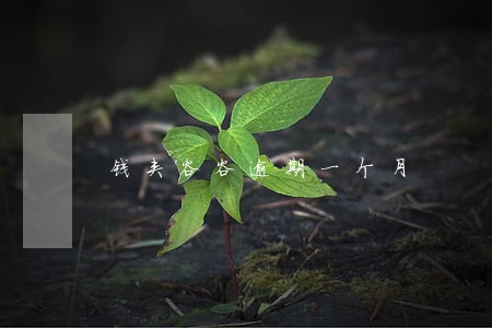 钱夹谷谷逾期一个月 钱夹谷谷逾期一个月