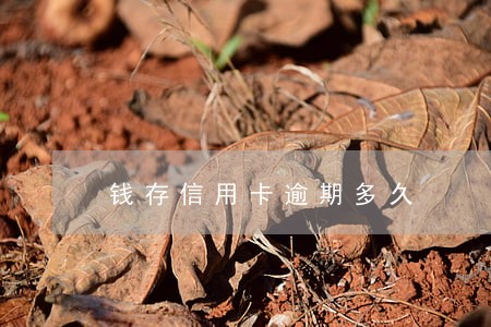 钱存信用卡逾期多久 钱存信用卡逾期多久