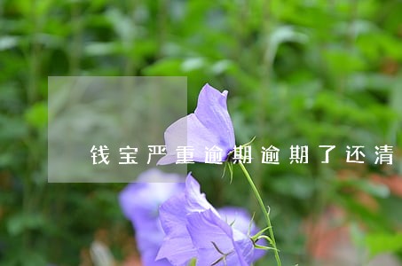 钱宝严重逾期逾期了还清了还 钱宝严重逾期逾期了还清了还