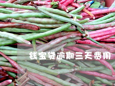 钱宝贷逾期三天费用 钱宝贷逾期三天费用