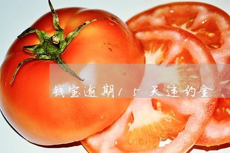 钱宝逾期15天违约金 钱宝逾期15天违约金