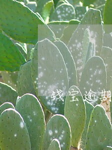 钱宝逾期一天会上门吗 钱宝逾期一天会上门吗
