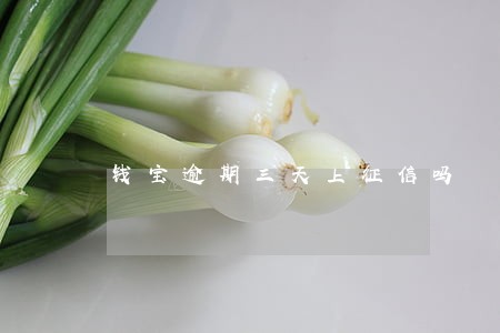 钱宝逾期三天上征信吗 钱宝逾期三天上征信吗