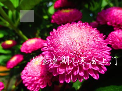 钱宝逾期几天会上门 钱宝逾期几天会上门