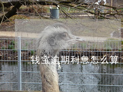 钱宝逾期利息怎么算 钱宝逾期利息怎么算