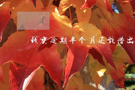 钱宝逾期半个月还能借出来吗 钱宝逾期半个月还能借出来吗