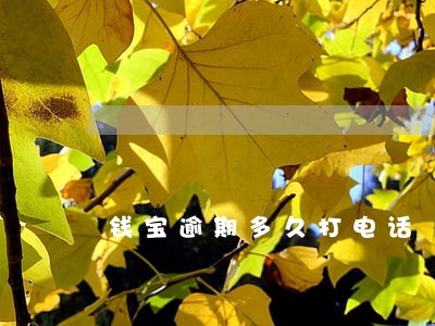 钱宝逾期多久打电话 钱宝逾期多久打电话
