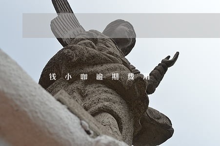 钱小咖逾期费用 钱小咖逾期费用