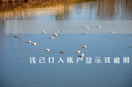 钱已打入账户显示我逾期